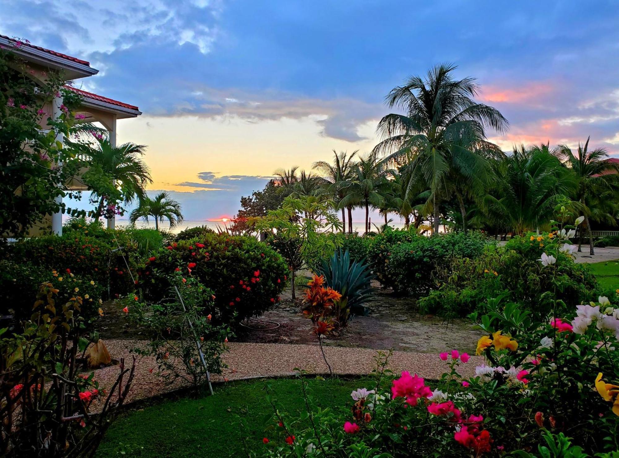 Los Porticos Placencia Room photo