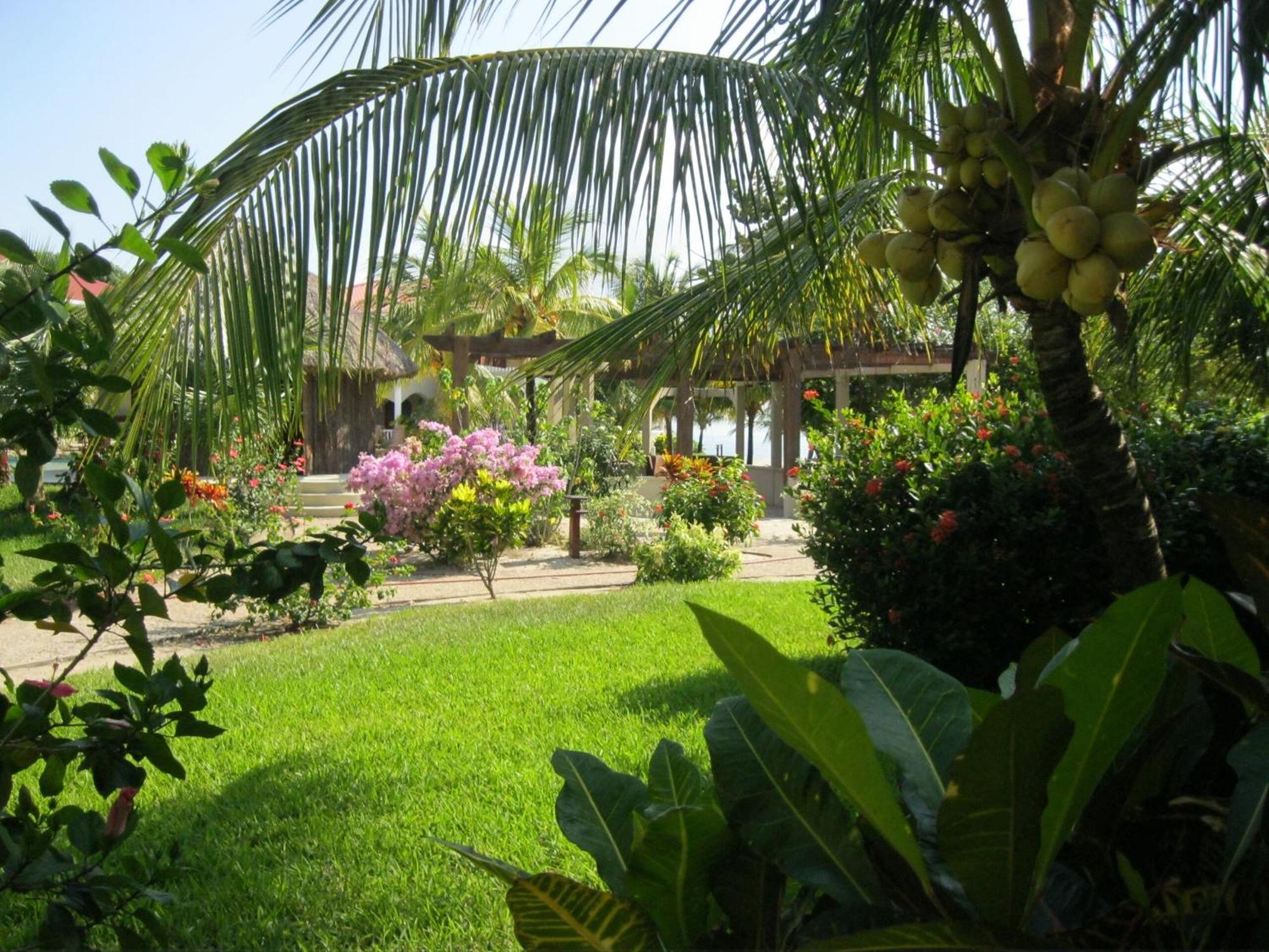 Los Porticos Placencia Room photo